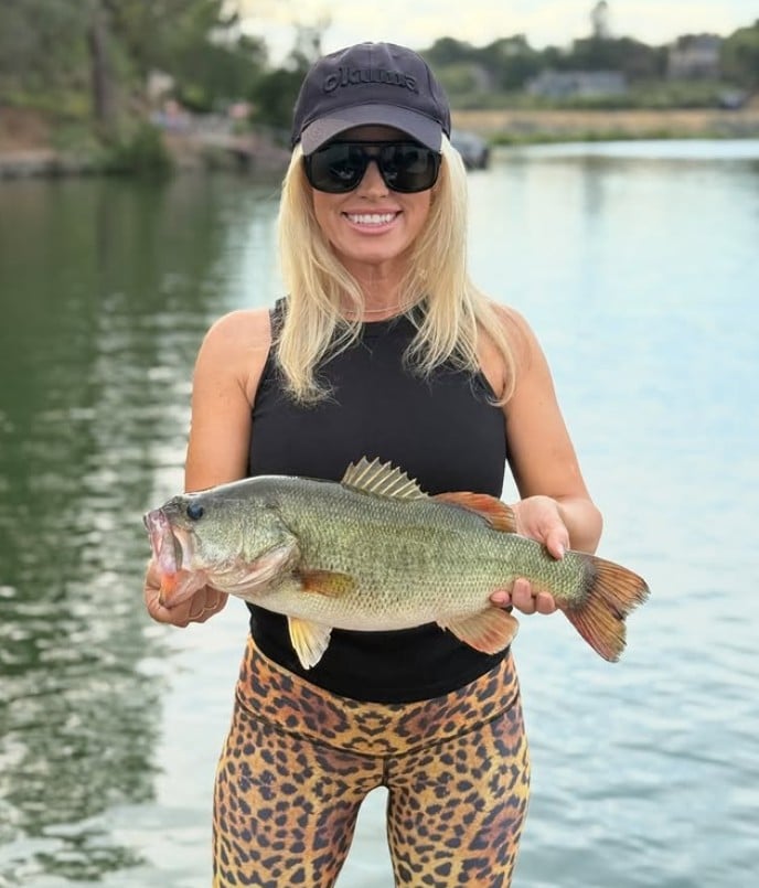 Kelly Hollingsworth