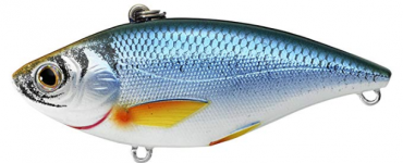 LIVE TARGET Golden Shiner Fishing