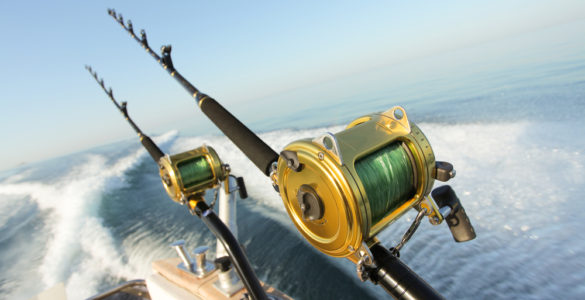 deep sea fihsing rods