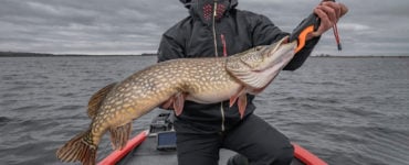 lip grip a pike fish
