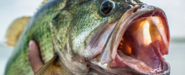spring fishing equipment