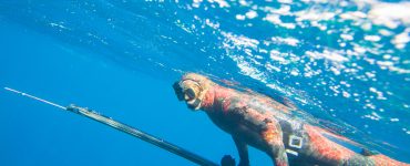 where to go spearfishing