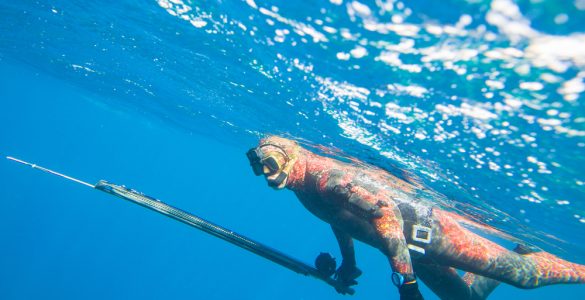 where to go spearfishing