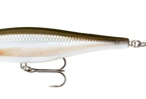BX Minnow