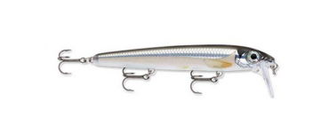 rapala lure bx walking minnow