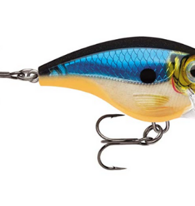 rapala lure bx brat