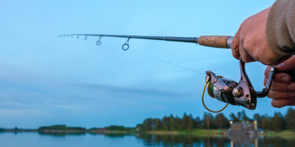bass reels