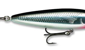 Rapala Skitter Walk