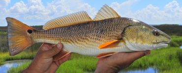 lures for redfish