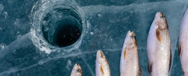 ice fishing