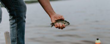 sustainable fishing