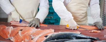 electric fillet knife cutting fish