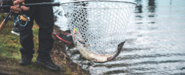 telescopic fishing net