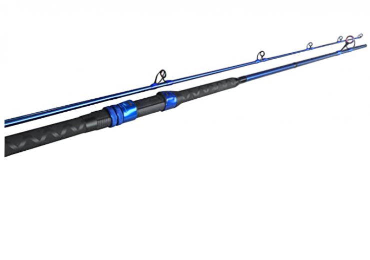 10 Best Graphite Fishing Rods of 2026 - Fishmasters.com