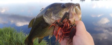 best jig trailers for bass fishing