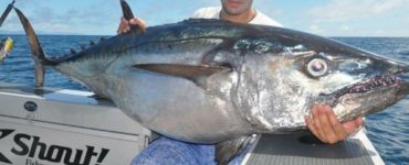 dogtooth tuna