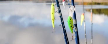 differences between jerkbait and crankbait