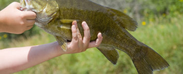 holding a smallmouth bass