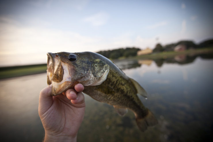 The Top 30 Fishing Lakes in Nebraska - Fishmasters.com