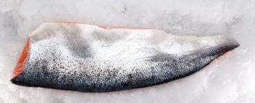 salmon skin