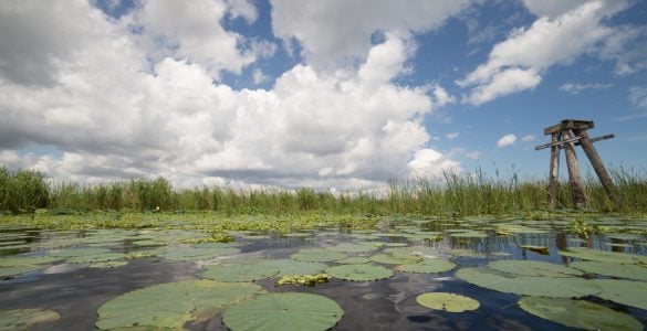 fishing lake in florida