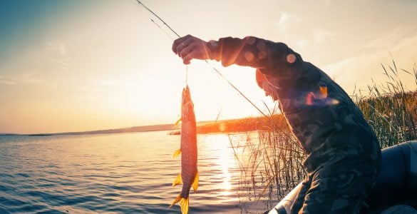 lake castaic fishing guides