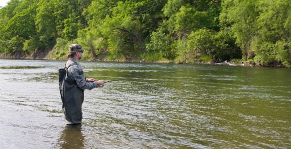 lake o the pines fishing guides
