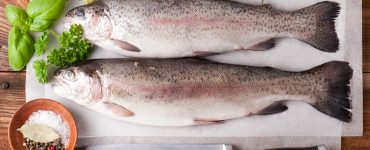 uncooked raw trout