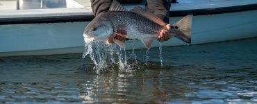 Fly fishing for Redfish in Louisiana