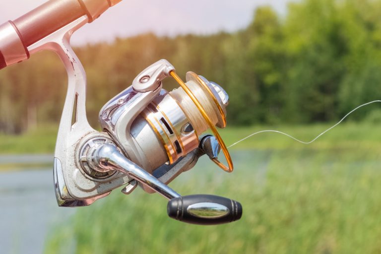 12 Best Fishing Reel Brands for 2023