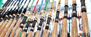 fishing rods in the store