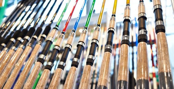 fishing rods in the store