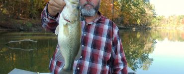 Smallmouth Vs Largemouth Bass