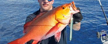 catching red snapper in season