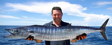 a wahoo caught with live bait