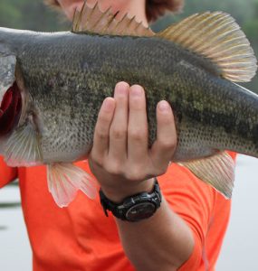 person holding largemouth bass that they caught