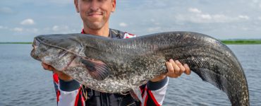 person holding a large catfish