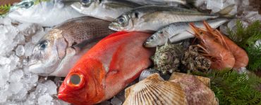 an assortment of delicious saltwater fish