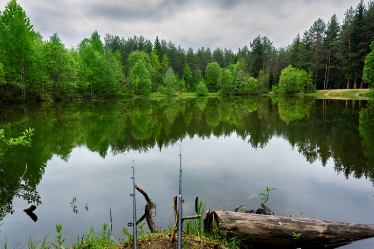 14 Best Fishing Lakes in America