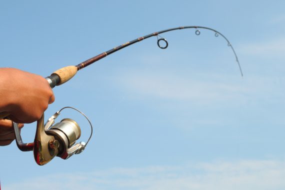 Understanding Fishing Rods: A Beginner's Guide to Action, Power, and ...