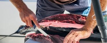 person filleting tuna with a fishing knife