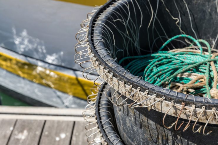 16 Types of Fishing Everyone Should Know - Fishmasters.com