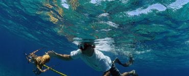 person spearfishing for lobster with a pole spear
