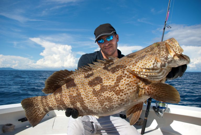 10 Best Fishing Charters in Venice, FL in 2023