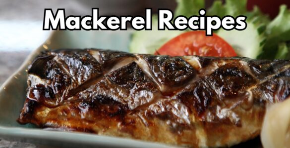 Mackerel Recipes