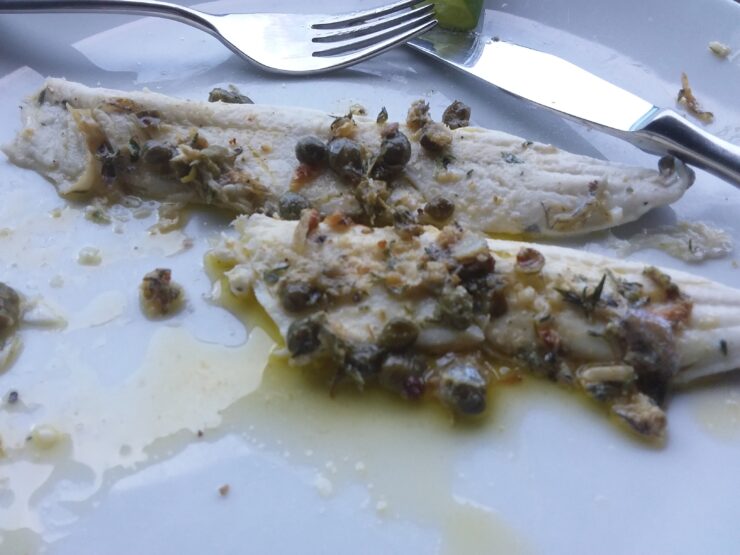 10 Garfish Recipes to Make - Fishmasters.com