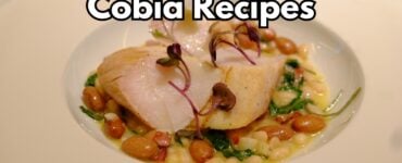 Cobia Recipes