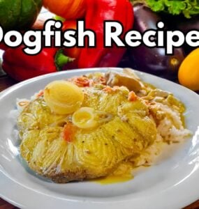 Dogfish Recipes