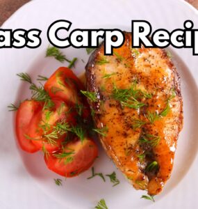 Grass Carp Recipes