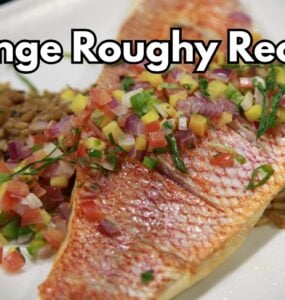 Orange Roughy